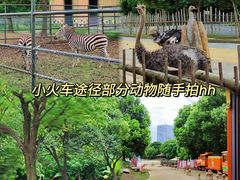 -常州淹城野生动物世界