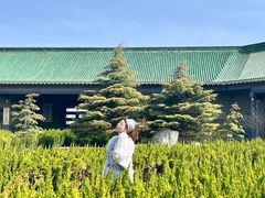 -鹤壁淇县云梦山