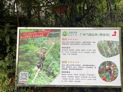-天鹿湖森林公园