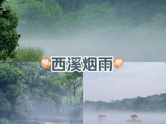 -西溪国家湿地公园