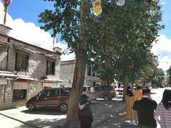 -松赞干布出生地