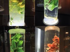 -广东中医药博物馆