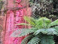 -赤水丹霞旅游区·大瀑布