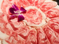 -川西坝子(老军营店)