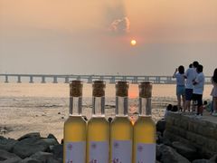 -宝安西湾红树林湿地公园