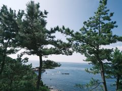 -滨千鸟之汤 海舟