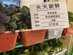 -山东宾馆·齐鲁苑餐厅