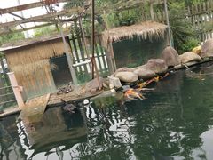 -湖鲜楼