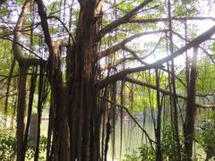 -茂德公草堂