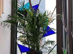 -港丽餐厅(高德置地店)