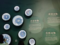 -中国湿地博物馆