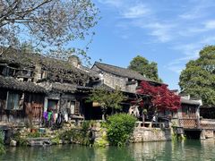-乌镇西栅景区