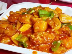 -双新垂钓园