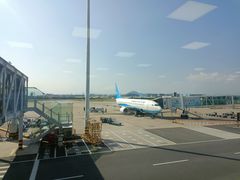 -厦门高崎国际机场-T3航站楼