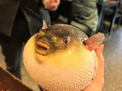 河豚宝宝-永安鱼庄·镇江菜(东吴路店)