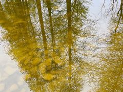 -祥源·阜阳生态乐园