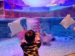 -沈阳海洋探索中心