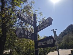 -金龙寺国家森林公园