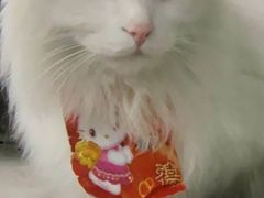 -百果园PAGODA(应元路店)