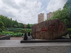 -陈家山荷花公园