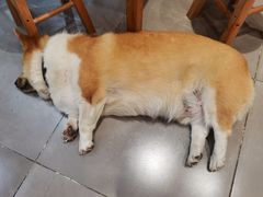 -阿木舂记·特色小吃(平江路店)