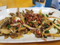-针姨