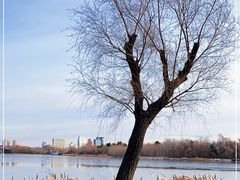 -长春市南湖公园