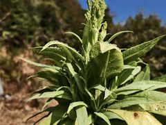 -韶关经律论国际酒店温泉