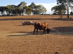 -威勒比开放式动物园