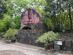 -海口火山口国家地质公园