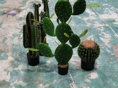 -上海大自然野生昆虫馆(东方明珠·爬宠昆虫探索中心)