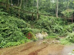 -青城山
