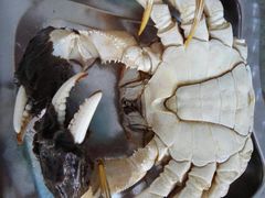 -喜洋洋蟹庄(阳澄湖店)