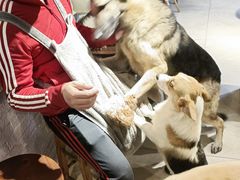 -萌喵咖啡屋(人民东路4号口M16商铺店)