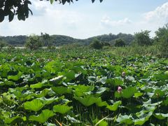 -东钱湖旅游度假区
