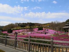 -棒棰岛宾馆景区
