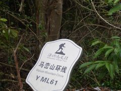 -马峦山郊野公园