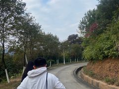 -天鹿湖森林公园