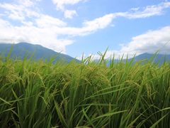 -瑞穗牧场