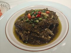 -新概念来凤鱼(璧山店)