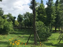 -贵阳市花溪国家城市湿地公园