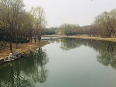 -大兴滨河森林公园