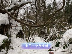 -九峰山