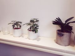 -Onirii Coffee(长乐路店)