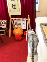 -小嘟嘟儿童摄影