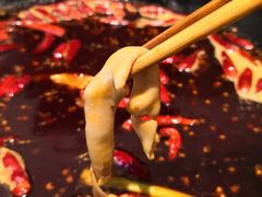 -胖碗火锅(观音桥店)