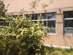 -大连外国语大学(旅顺校区)