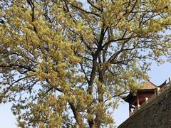 -南京金牛湖风景区