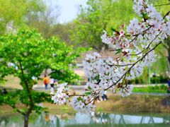 -上海辰山植物园
