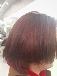 -东方麒麟·潘多拉SALON